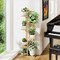 6 Tier Plant Stand Indoor 7 Potted Corner Plant Shelf Planter Holder for Plants